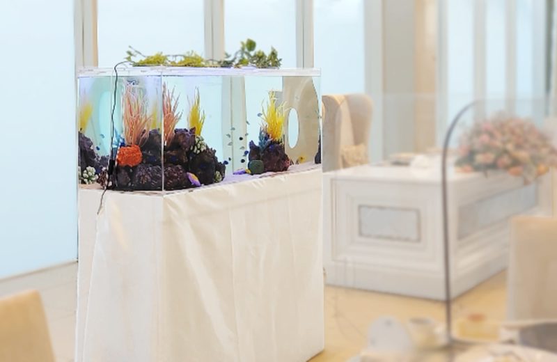 1日だけの短期レンタル 120cm海水魚水槽 短期レンタル事例 水槽画像5