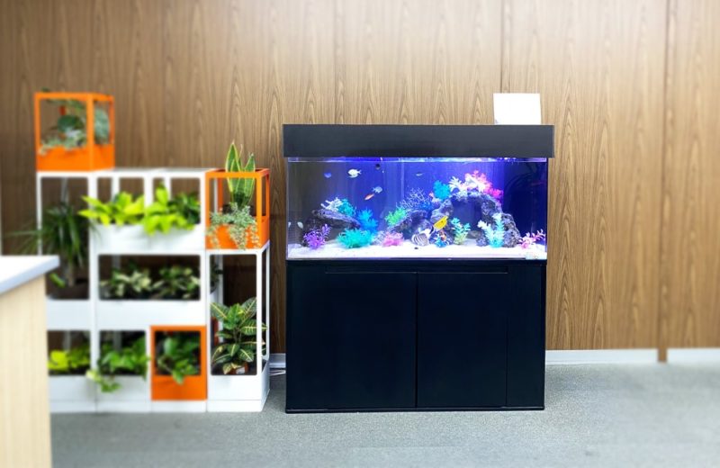神奈川県 企業様 オフィスに設置した120cm海水魚水槽 水槽レンタル事例 水槽画像2