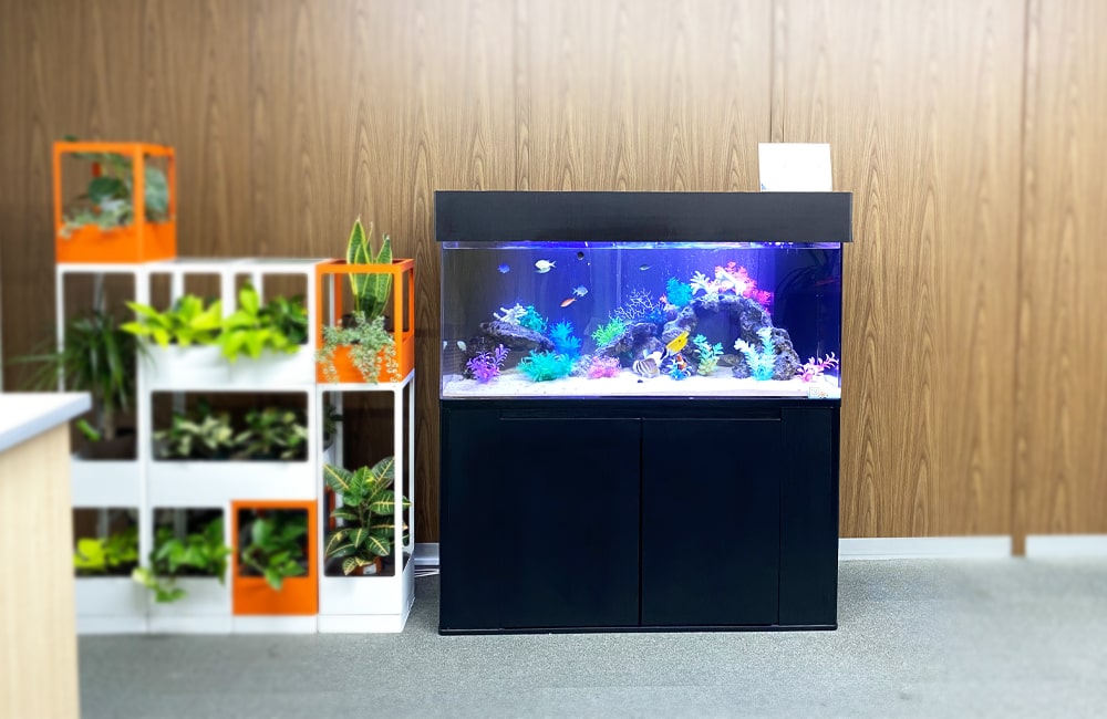 オフィス　水槽　アクアリウム