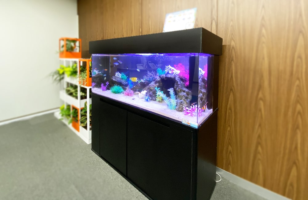 オフィス　アクアリウム　レンタル