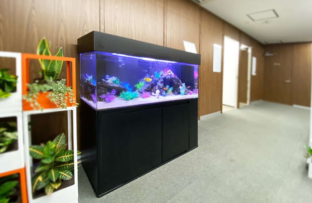 企業　水槽　レンタル
