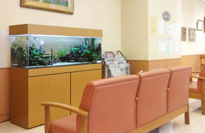 愛知県豊田市 病院に設置した120cm淡水魚水槽 水槽リース事例 水槽画像4