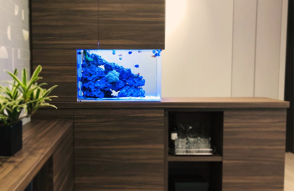 60cm海水魚水槽　水槽レンタル