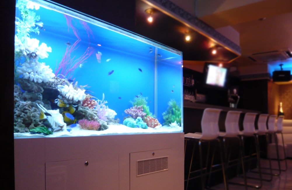 東京都　飲食店　120cm海水魚水槽＋45cm淡水魚水槽　水槽レンタル事例のサムネイル画像