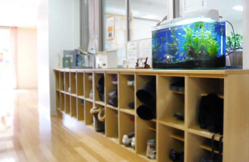 東京都杉並区 保育園様 45cm淡水魚水槽 レンタル事例 水槽画像2