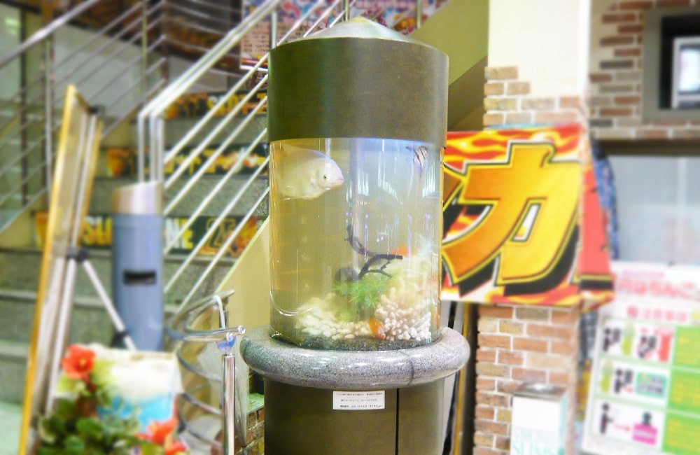 神奈川県 パーラー大丸様 80cm円柱水槽 特注水槽 販売事例 メイン画像