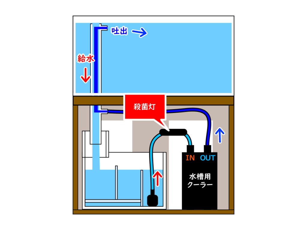 水槽用クーラーと殺菌灯を接続したオーバーフロー水槽の図解