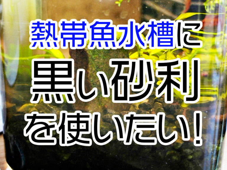 水槽に黒い砂を使いたい！水が濁る？メリット・デメリットとおすすめ商品のサムネイル画像