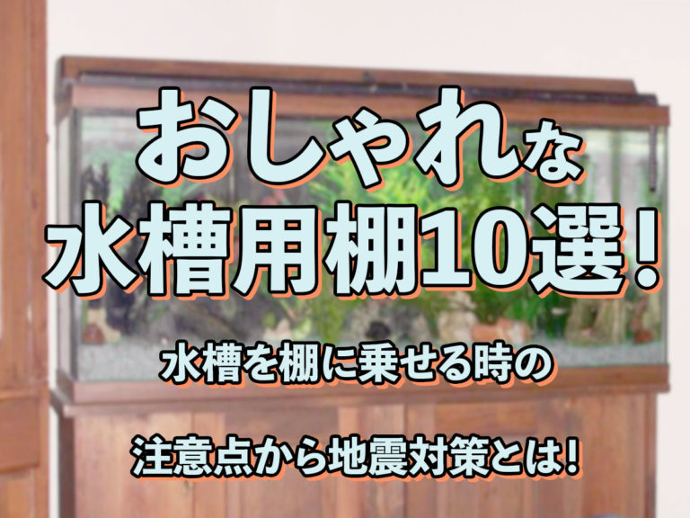 おしゃれな水槽用棚10選!水槽を棚に載せる時の注意点から地震対策とは!のサムネイル画像