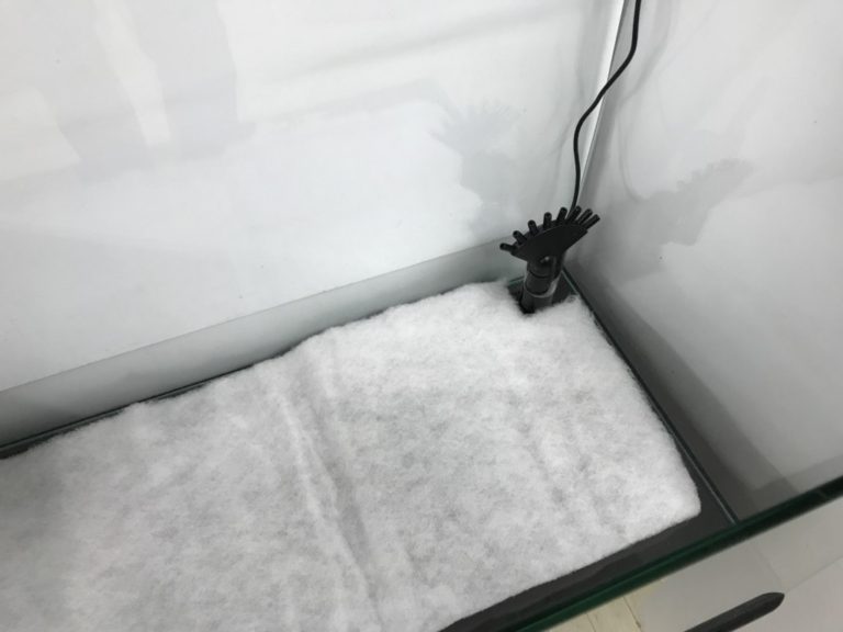 水槽底面に敷かれた白いウールマットと水中ポンプ