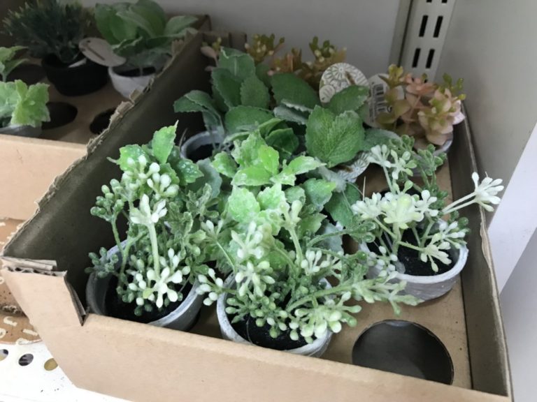 段ボール箱に並ぶ複数の小さな人工観葉植物の鉢植え