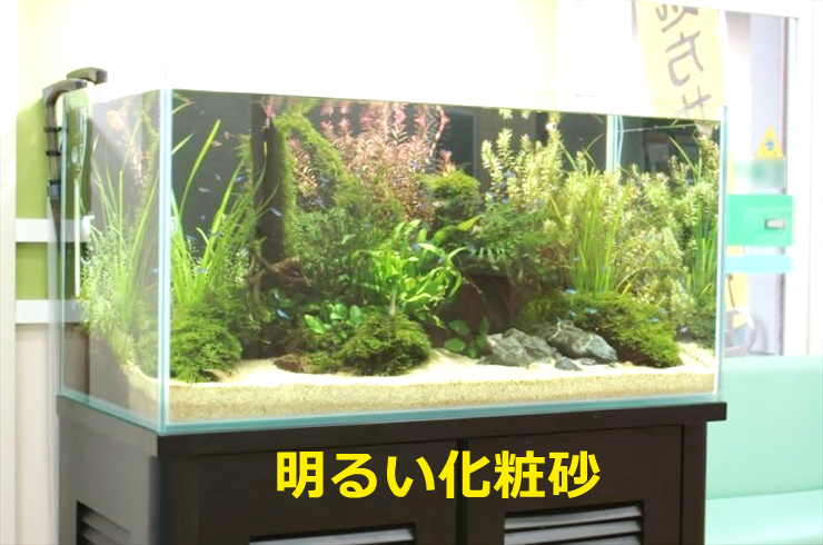 化粧砂を使って水槽を明るくしよう!化粧砂の種類と使い方を解説しますのサムネイル画像