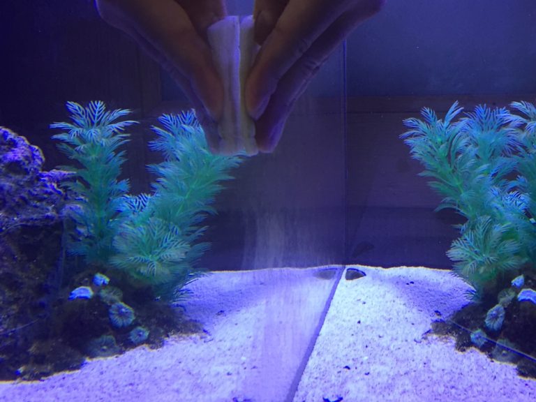 水槽の底砂に白い粉末状の物質を撒く両手の手元