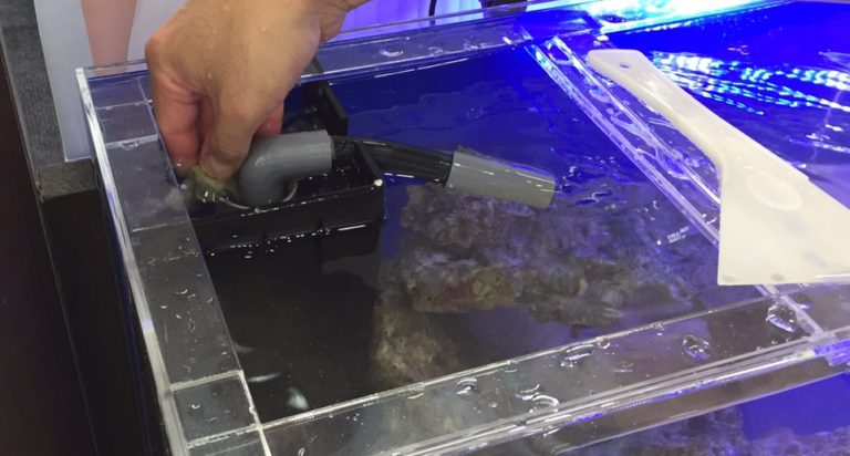 水槽のオーバーフロー管を掃除する手元のアップ