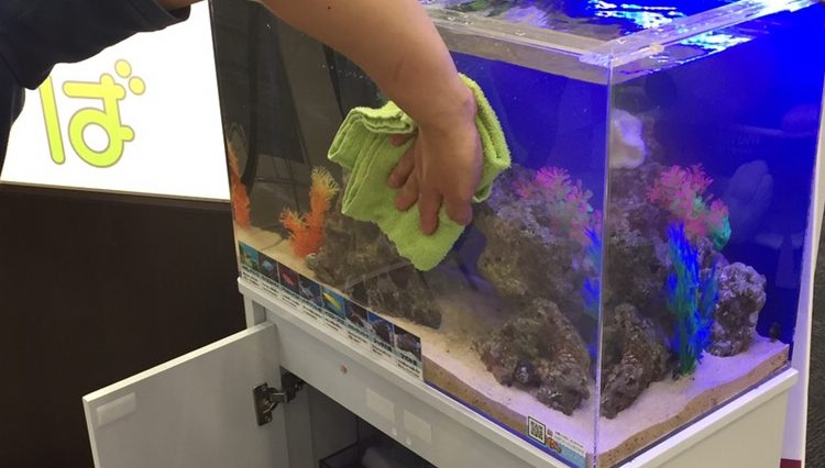 緑の布で水槽のガラス面を拭く人の手と海水魚水槽