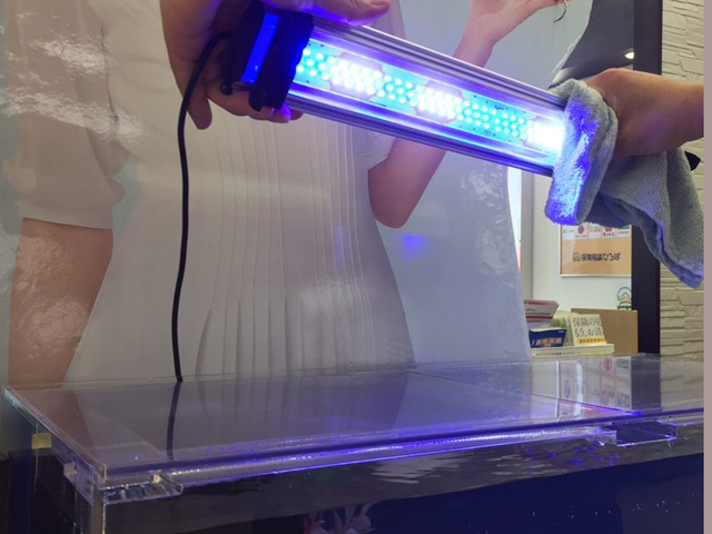 青白く光る水槽用LEDライトを布で拭く手元