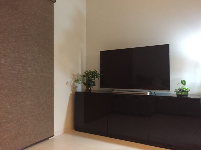 黒いテレビ台に置かれた大型テレビと観葉植物の鉢植え