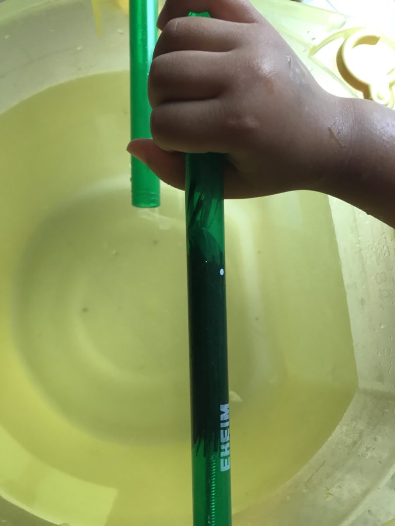 バケツの水に浸かる緑色の外部フィルター用パイプと手