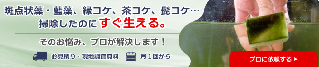 水槽のコケ除去とプロの解決策の見出し画像