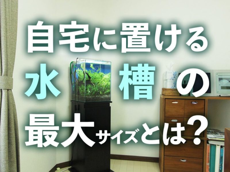 自宅に置ける水槽の最大サイズとは？の見出し画像