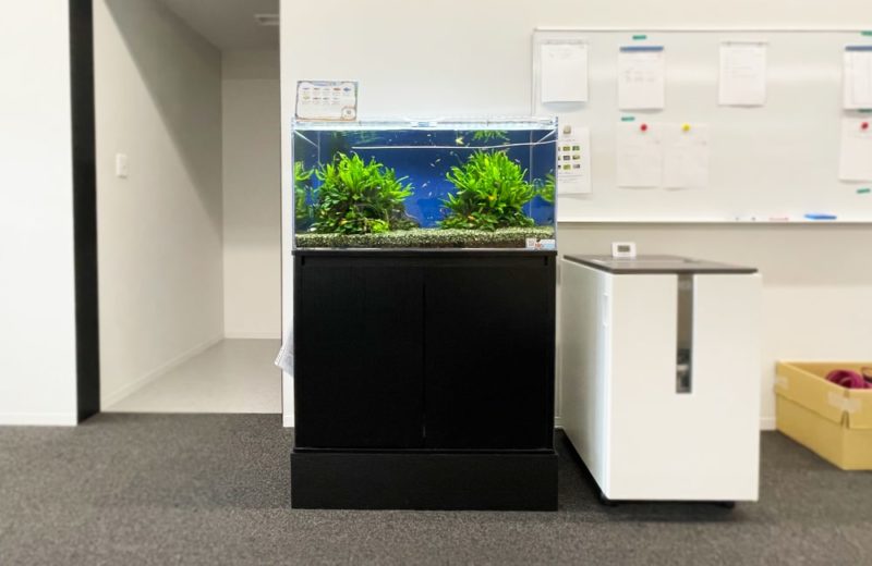 東京都 文教大学様　90cm淡水魚水槽　水槽レンタル事例 水槽画像２