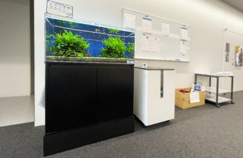東京都 文教大学様　90cm淡水魚水槽　水槽レンタル事例 水槽画像５