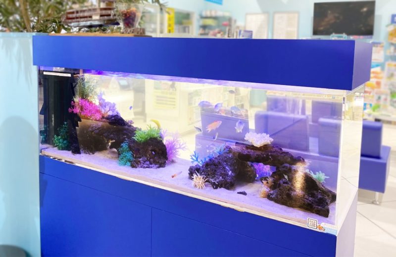 神奈川県相模原市 薬局に設置した150cm海水魚水槽 水槽レンタル事例 水槽画像1
