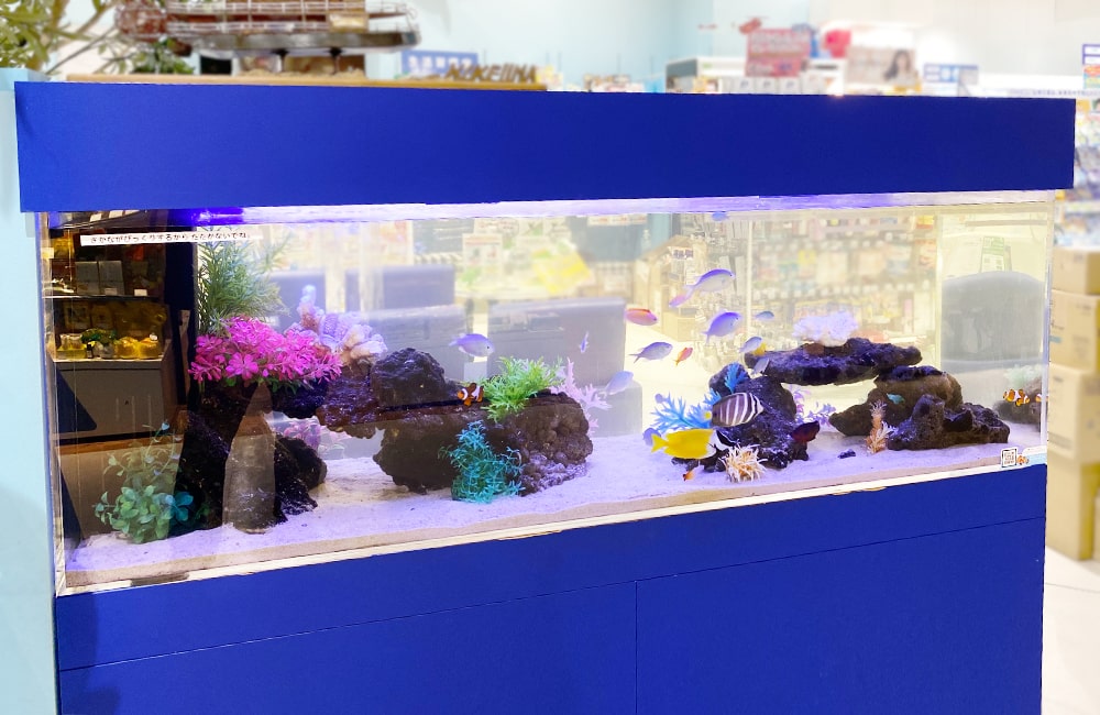青い架台に設置された海水魚が泳ぐ大型水槽の全景