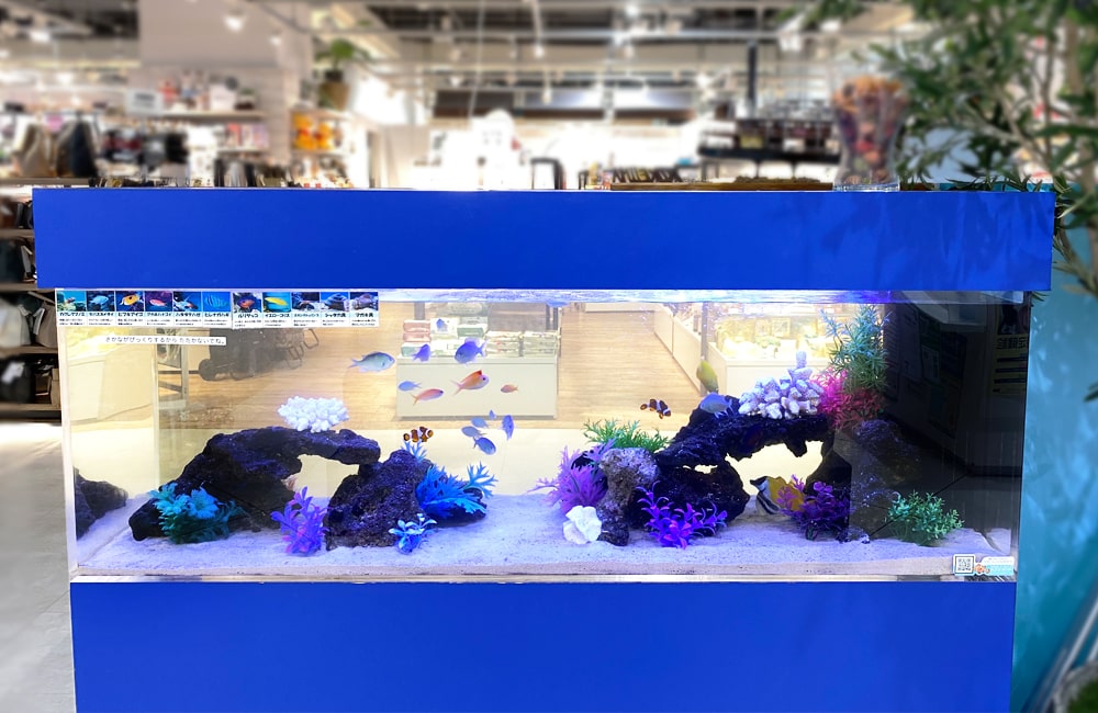 青い枠の水槽に泳ぐ海水魚と人工サンゴのレイアウト