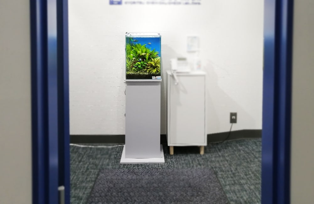 オフィス受付に設置された水草と小型魚の小型水槽