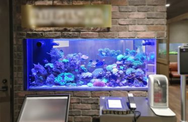 渋谷区　企業オフィス　壁埋め込み150cm海水魚水槽　水槽リース事例