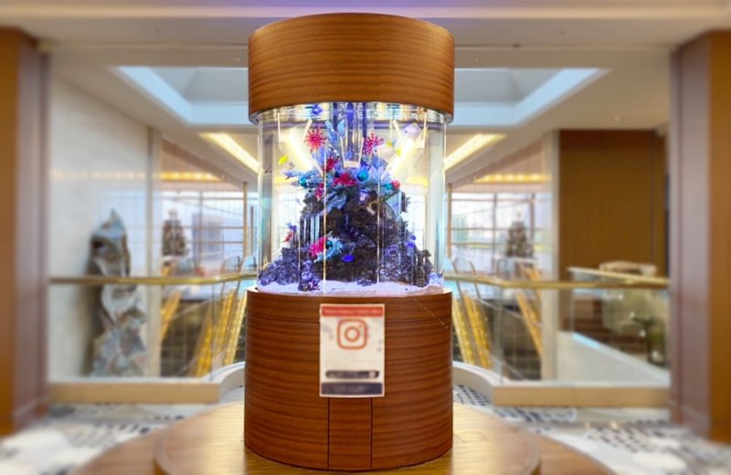 シェラトン・グランデ・トーキョーベイ・ホテル様 水槽リース事例 クリスマスVer 水槽画像2
