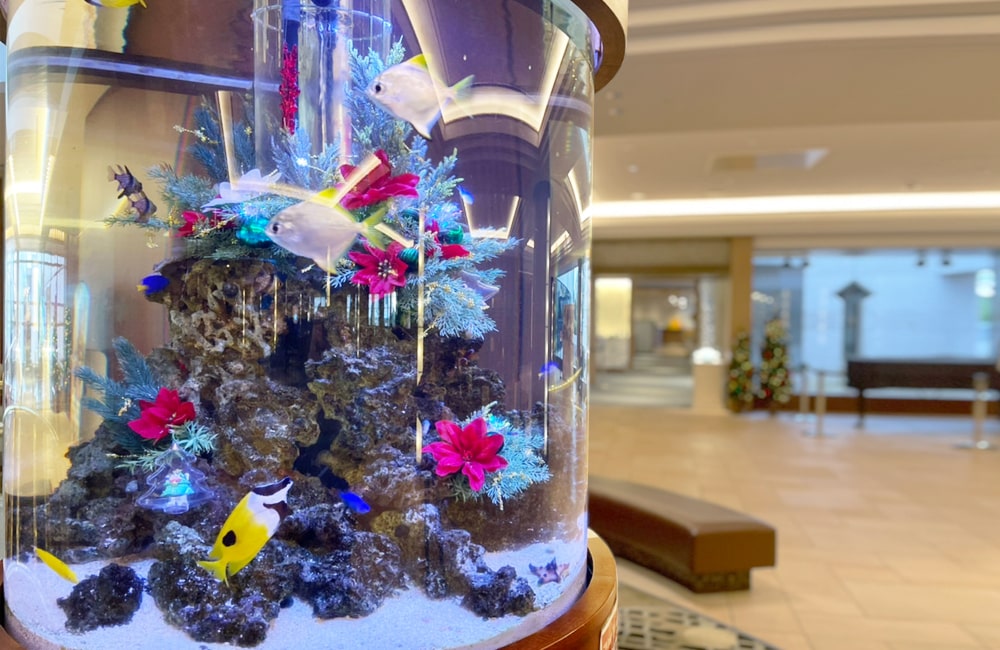 ロビーに設置された円柱型の海水魚水槽と熱帯魚