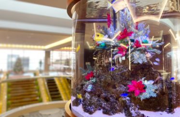 赤い花と青い水草で飾られた円柱型の海水魚水槽