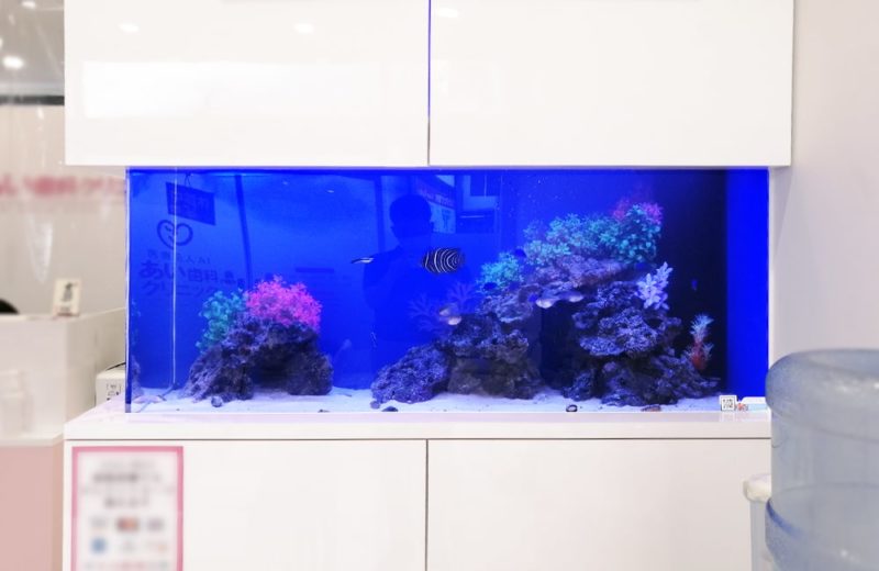 東京都八王子市 歯科クリニック様 136cm海水魚水槽 販売・メンテナンス事例 水槽画像1