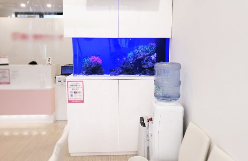 東京都八王子市 歯科クリニック様 136cm海水魚水槽 販売・メンテナンス事例 水槽画像2