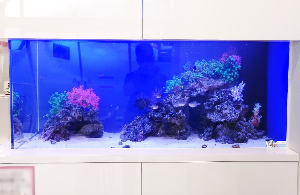 青い背景に岩と造花を配置した海水魚風の熱帯魚水槽