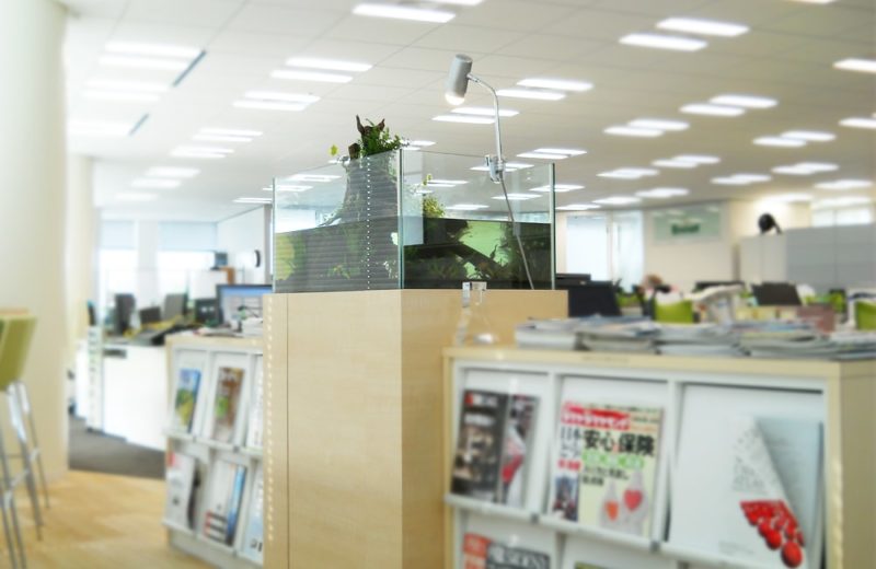 東京都港区 オフィス 75cmアクアテラリウム水槽 販売・メンテナンス事例 水槽画像2