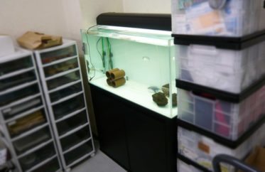 オフィスに設置　90cm淡水魚水槽　水槽一式販売・メンテナンス事例