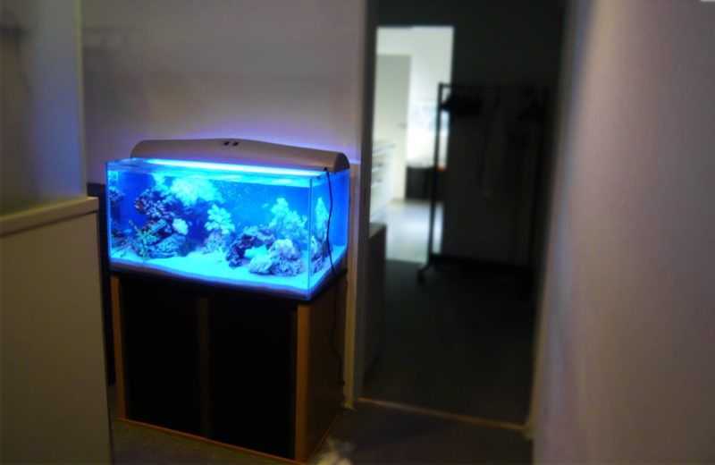 オフィスに癒しスポットを!90cm海水魚水槽 水槽リース事例 水槽画像2
