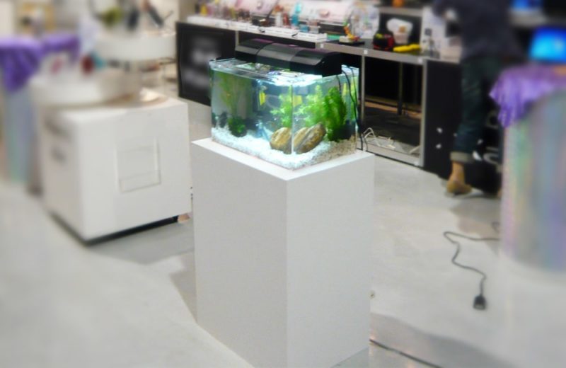 電化製品の展示会 水槽短期レンタルサービス事例 水槽画像3