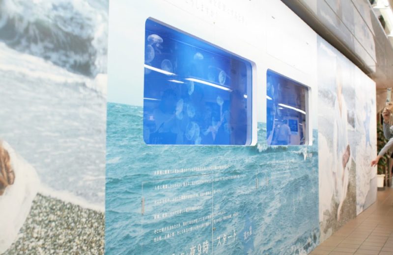 ドラマプロモーション 5mの特大水槽 水槽短期レンタルサービス事例 水槽画像3