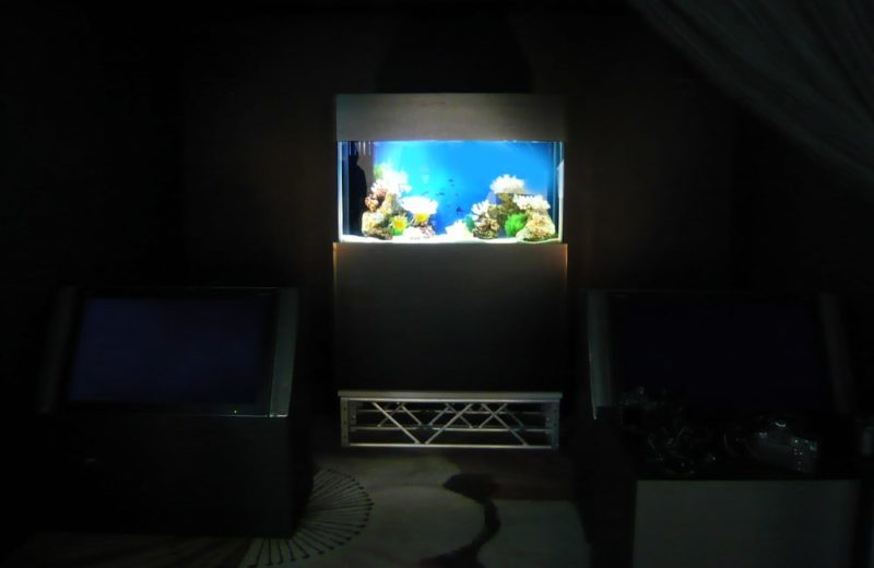 東京都 液晶モニターの展示イベント 90cm海水魚水槽 短期レンタル事例 水槽画像2