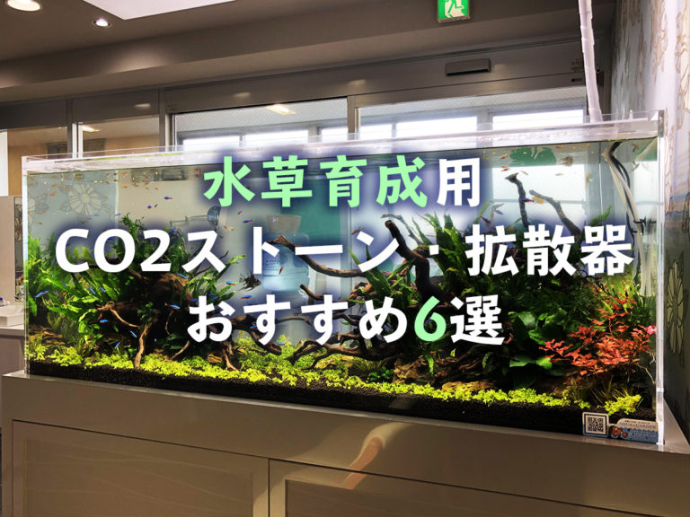 水草育成用CO2ストーン・拡散器おすすめ6選の画像