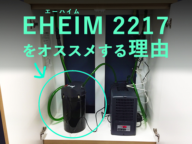 EHEIM 2217をオススメする理由の見出し画像