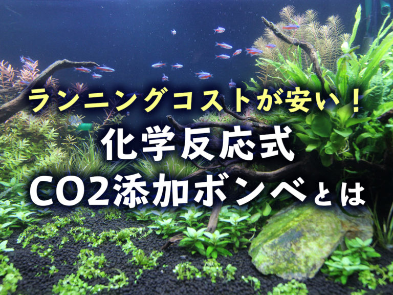 化学反応式CO2添加ボンベの見出し画像