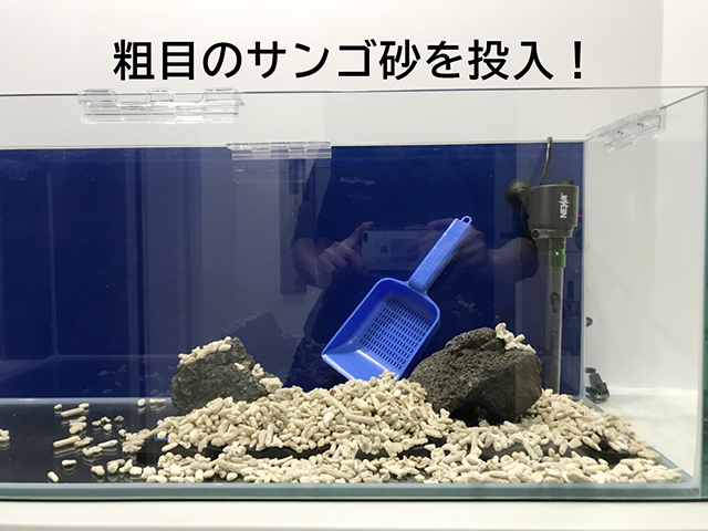粗目のサンゴ砂を投入!の文字と水槽内のサンゴ砂