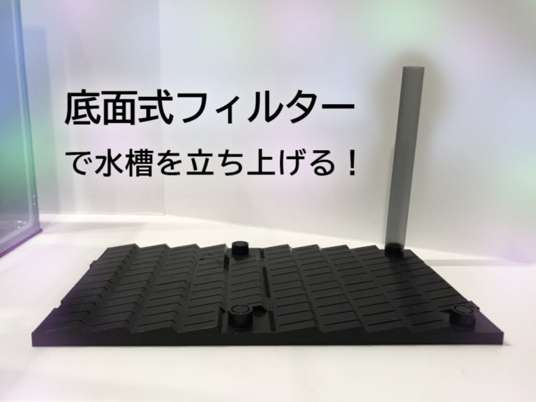 底面式フィルターで水槽を立ち上げるの見出し画像