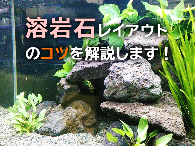 溶岩石レイアウトのコツを解説の見出し画像