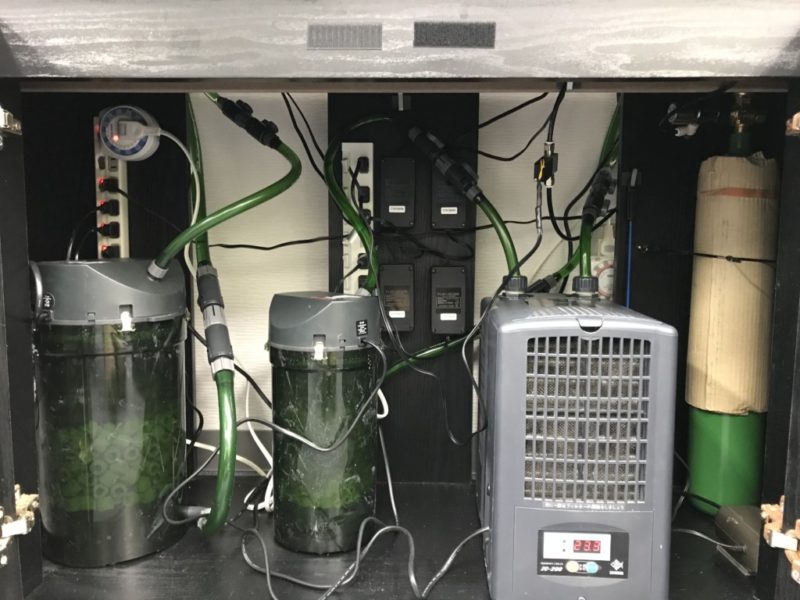 水槽台内に設置された外部フィルターとクーラーとボンベ